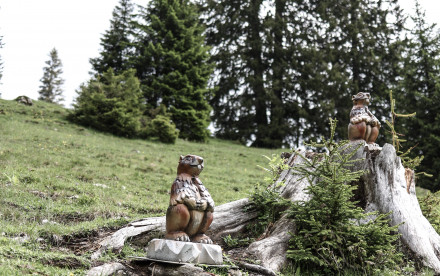 Alpentiere Rundwanderweg - Achensee