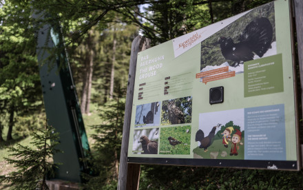 Alpentiere Rundwanderweg - Achensee