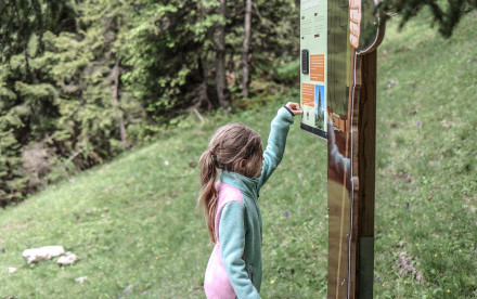 Alpentiere Rundwanderweg - Achensee