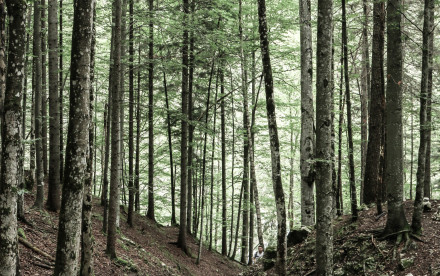 Geisterklamm Leutasch