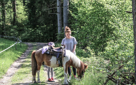 Ponyreiten im Hasental