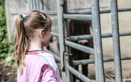 Ponyreiten im Hasental