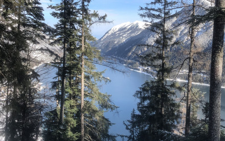 Rodelbahn am Achensee Zwölferkopf