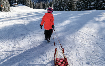 Rodelbahn am Achensee Zwölferkopf