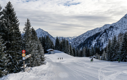 Rodelbahn am Achensee Zwölferkopf