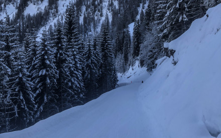 Rodelbahn am Achensee Zwölferkopf