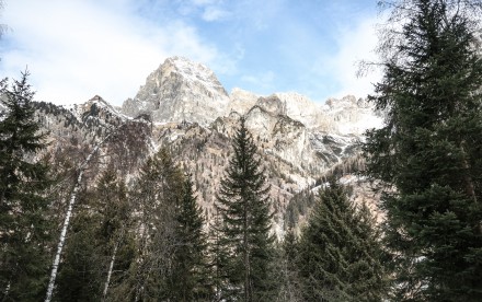 Rodeln Allrissalm in Gossensass - Südtirol