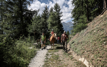 Algund - Südtirol