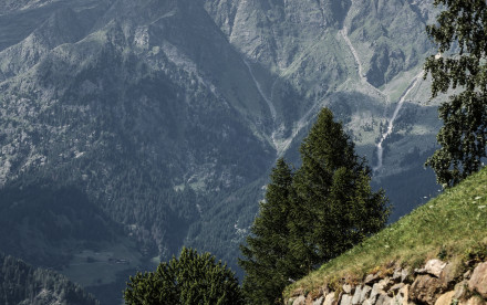 Algund - Südtirol