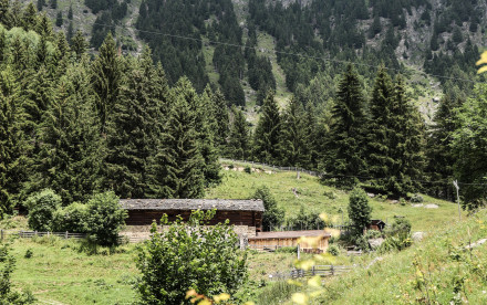 Algund - Südtirol