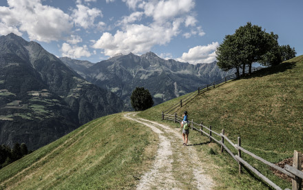 Algund - Südtirol