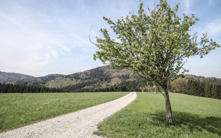 Attersee-Attergau - Salzkammergut