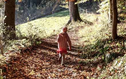 Mit Kindern in den Bergen