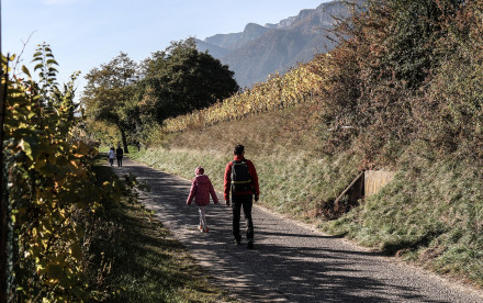 Eppan a. d. Weinstr. - Südtirol