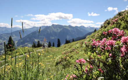 Golm-Montafon - Vorarlberg