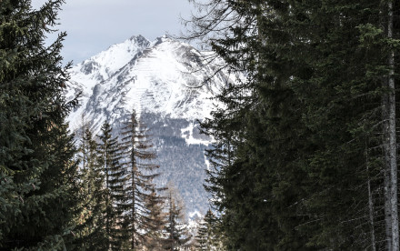 Pflerschtal - Südtirol