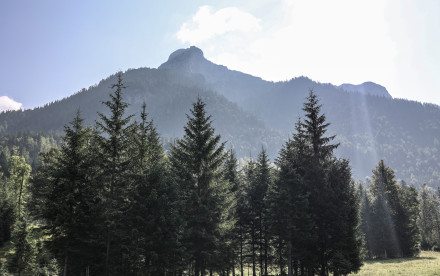 Mesnerhof-C Steinberg am Rofan